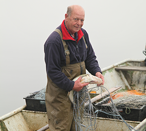 05 storkower fischgenossenschaft angelkarten kategorie