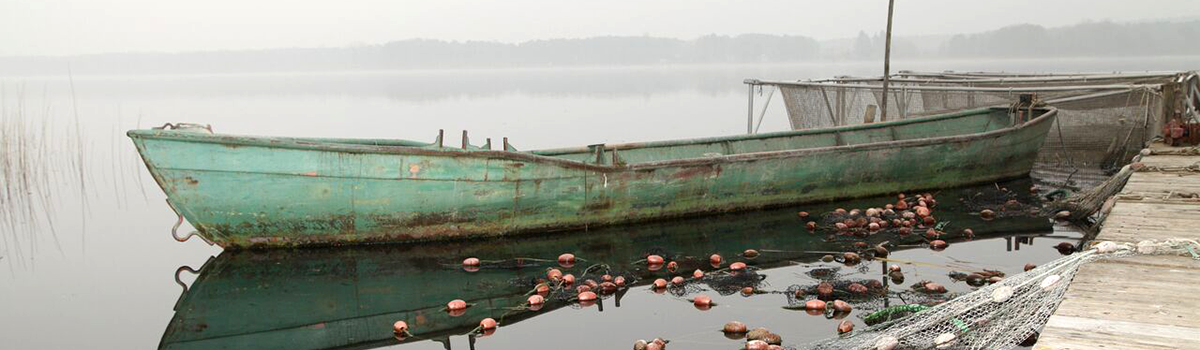  boot im wasser erlebnisse fischgenossenschaft angeln