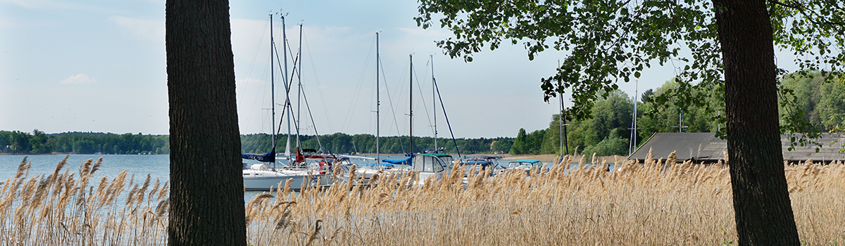 fischgenossenschaft storkow partner
