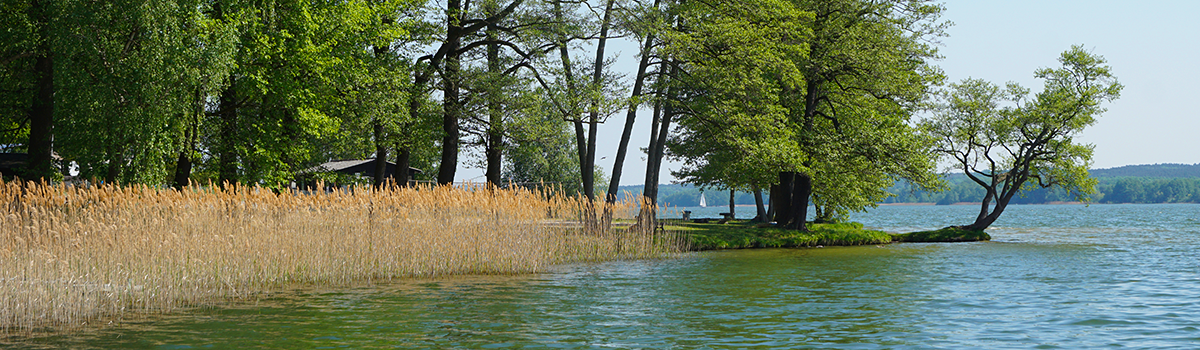 header erlebnisse fischer
