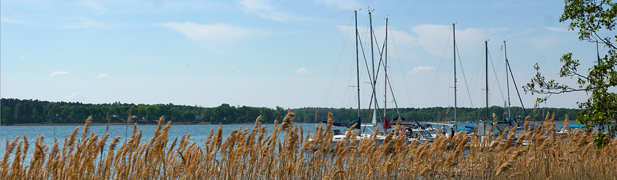 header standort fischland scharmuetzelsee